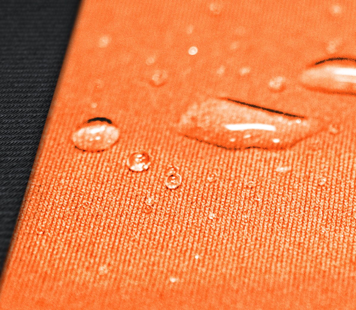 Neo-Sport Custom Seat Covers - Image 114