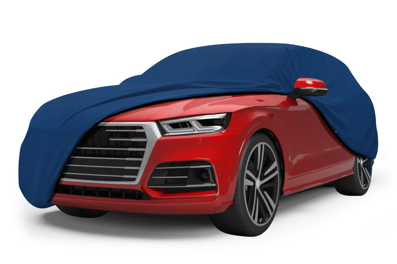 Seal Skin Car Covers - Image 5